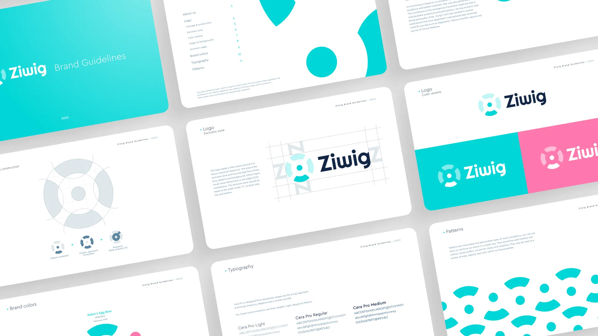 Ziwig brand guidelines cover